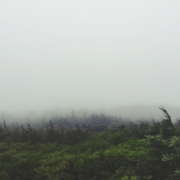 1日目の雲海荘からの眺め。真っ白です…。