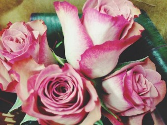 o0512038412970779621